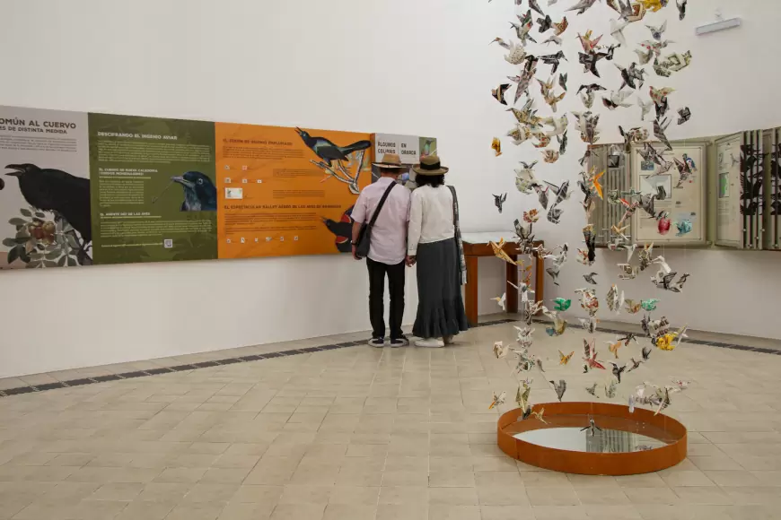 16 años de brindar conocimiento.