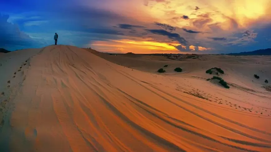 Dunas de Samalayuca, Chihuahua, un paraíso desértico