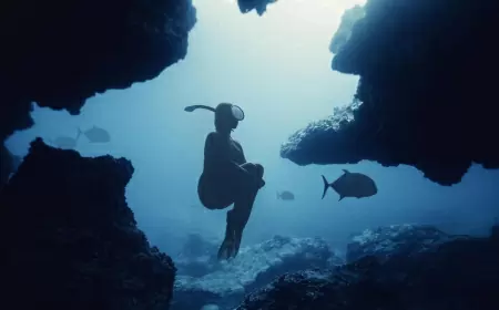 Dive & Bed: La Nueva Forma de Vivir Cozumel para los Amantes del Buceo y el Mar