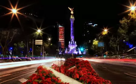 Cuatro lugares para disfrutar el Guadalupe-Reyes