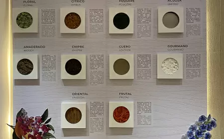 El MUPE (Museo del Perfume) llega a Cancún con una experiencia olfativa única