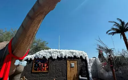 Piedrópolis Navideña: Una Aventura Retro en el Parque Guanajuato