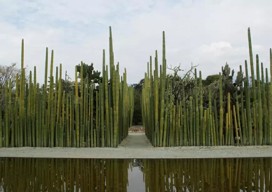 Jardín Etnobotánico