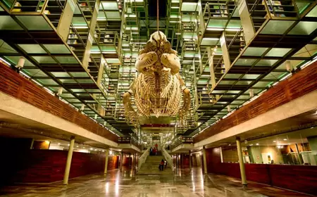 4 Bibliotecas Emblemáticas de México.
