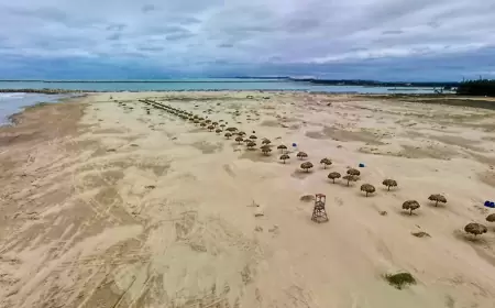 Escápate a Tamaulipas: Altamira (Parte 1)