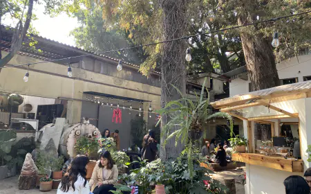 Apiñonado Café: Un Oasis Escondido en la Roma Sur