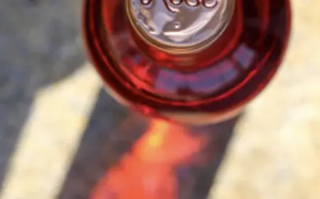 Emina en el Caribe Mexicano: Una Experiencia Vinícola de la Mano de Paloma Moro