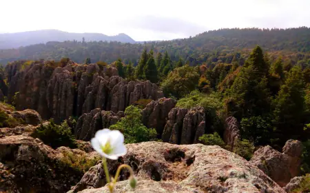 El Contadero, Hidalgo: Laberinto de Roca.