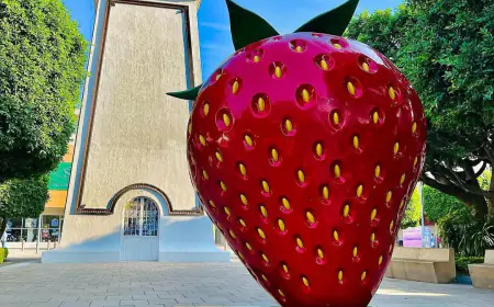 Irapuato te espera en la Feria de las Fresas