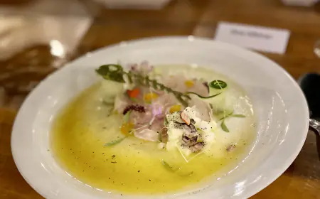 Inició de la Cartelera Gastronómica de Río Lagartos: Un Viaje de Sabores Únicos