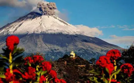 Plant Fest en Cholula, Puebla