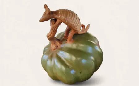 Calabazas mágicas de  Zinapécuaro, Michoacán de Ocampo.