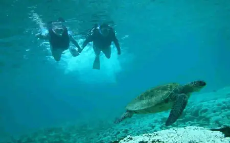 Playa La India en Bahía de Huatulco, un oasis de relajación.