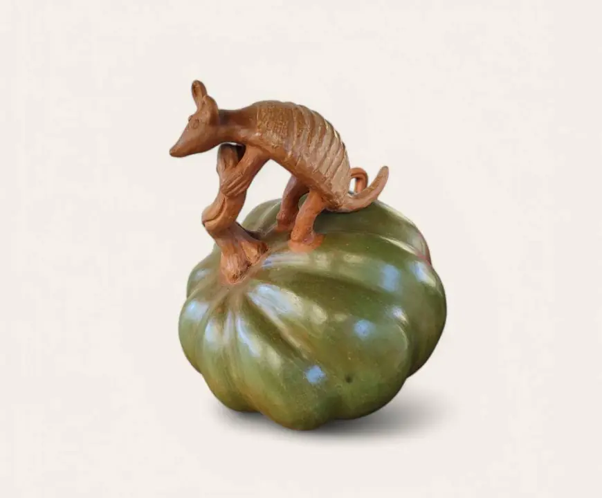 Calabazas mágicas de Zinapécuaro, Michoacán de Ocampo.