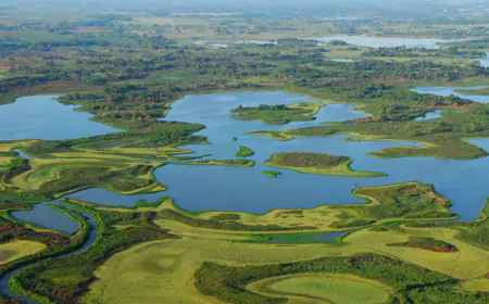 Pantanos de Centla en Tabasco, la joya natural de Mesoamérica.