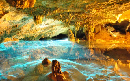 Descubre el Caribe Mexicano: Explora sus Playas, Cultura y Exuberante Naturaleza