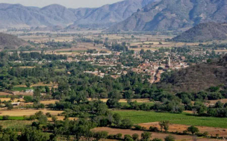 Mascota: Una Explosión de Verde y Azul en la Naturaleza