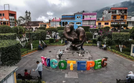 Xicotepec: entre las nubes y el aroma del mejor café