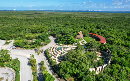 Actividades para Disfrutar en Familia: 3 Parques Imperdibles en Cancún