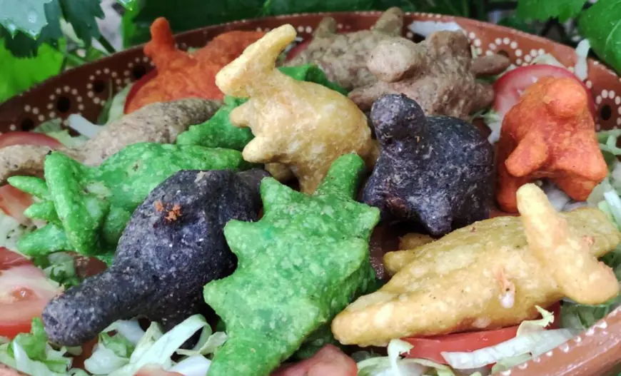 Dinoquesadillas: Cdmx, Oaxaca, Coahuila