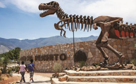 3 Museos temáticos asombrosos de México.