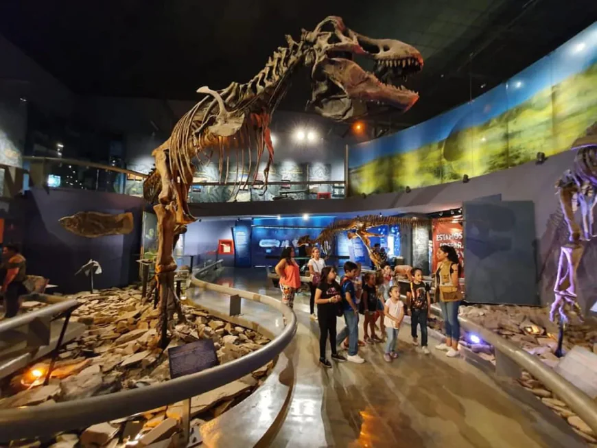 Museo del Desierto, Coahuila.