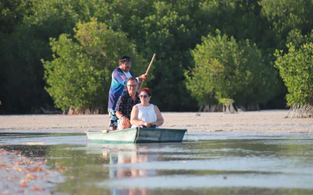 Sisal al atardecer: un viaje entre manglares y aves en libertad