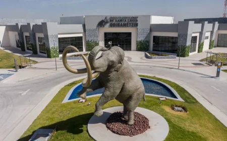 Museos de  paleontología, lo más cercano a la prehistoria mexicana.