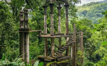 Destinos Surrealistas en México, un debraye sensorial.