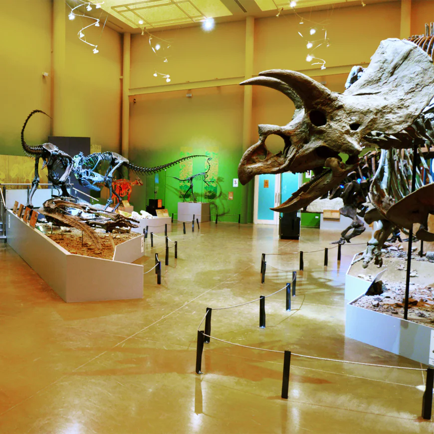 Museo del Desierto Chihuahua y Coahuila