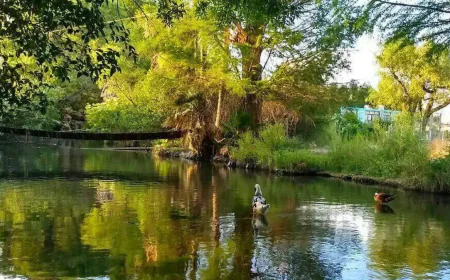 La Constancia-Durango, entre calles de ríos y avenidas llenas de sabinos.