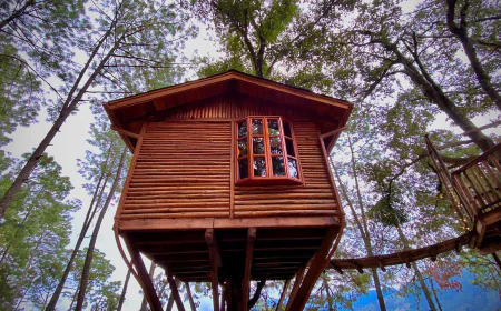 Cabañas Colgantes en México, un hospedaje de altura.