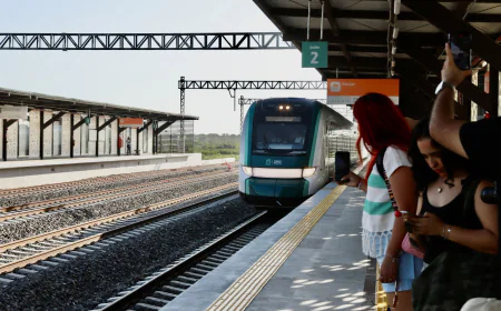 Tren Maya: Una Experiencia Única de Viaje entre Mérida y Cancún