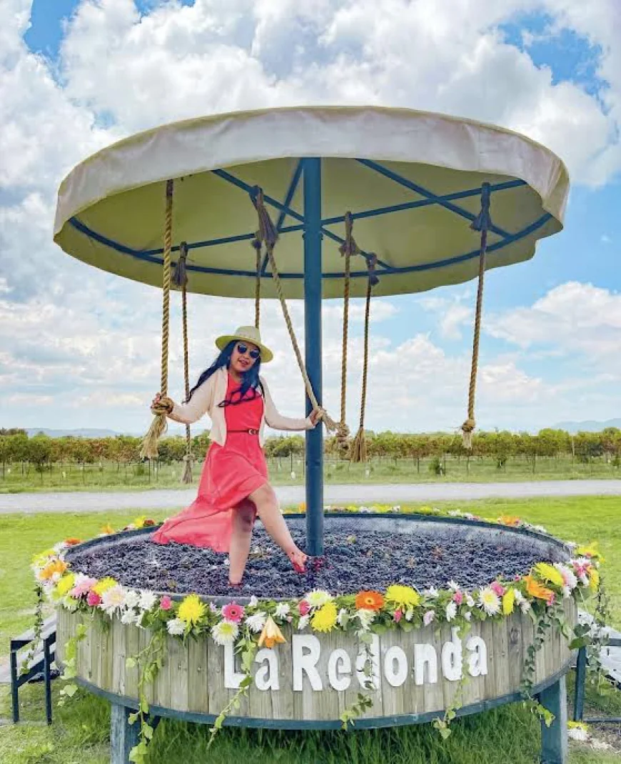 Seis actividades imperdibles en las Fiestas de la Vendimia en Querétaro