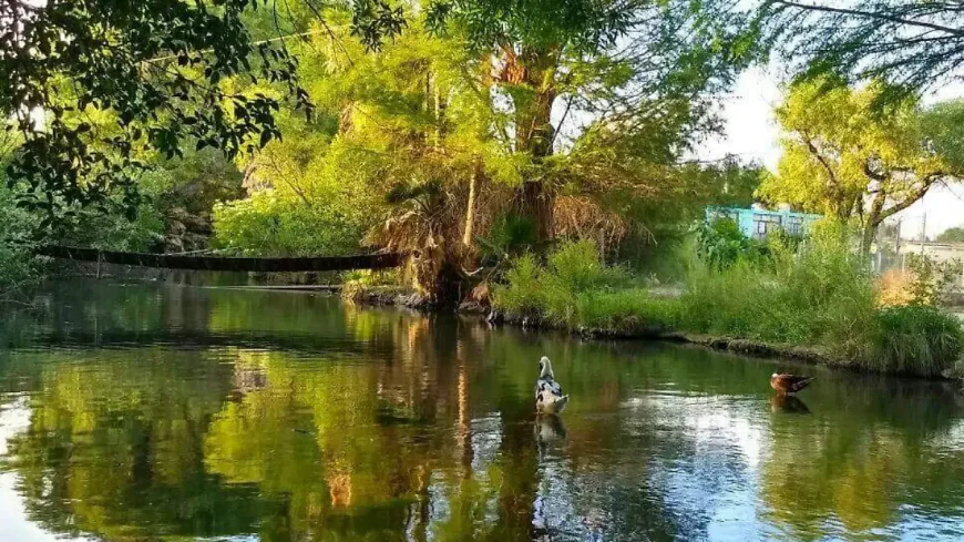 La Constancia-Durango, entre calles de ríos y avenidas llenas de sabinos.