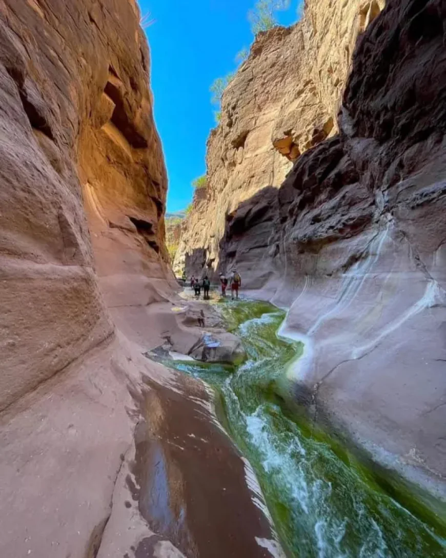 Cañón del Mezquite, Baja California Sur: Senderismo al cien.