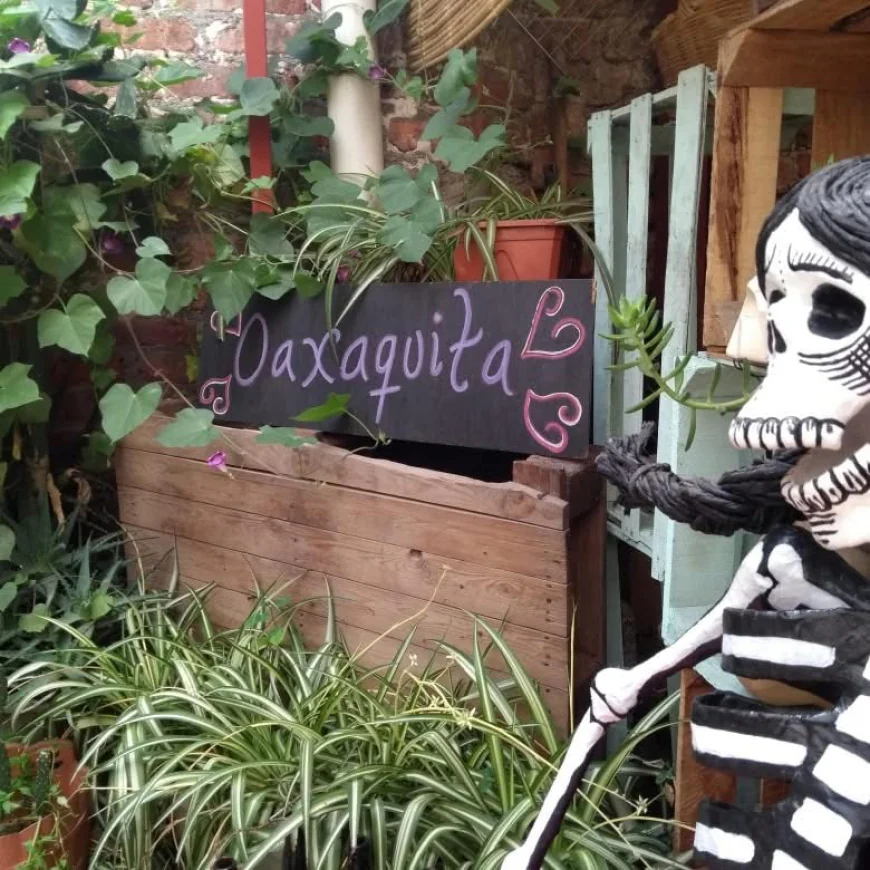 Oaxaquita: el rincón oaxaqueño que conquista en la colonia Guerrero