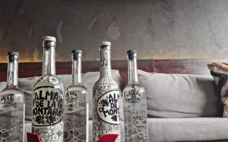 MEZCALFEST.MX 2025: un brindis por el agave, la música y el arte en la CDMX