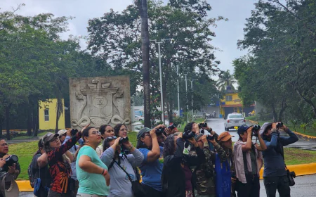 Donde los cielos cantan: El Festival de las Aves en Cozumel