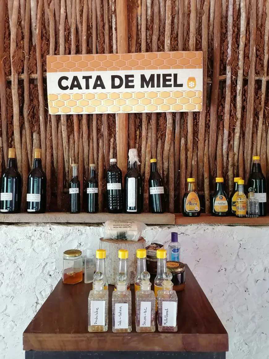 Entre abejas y aromas: mi experiencia en la cata de mieles de Sinanché, Yucatán