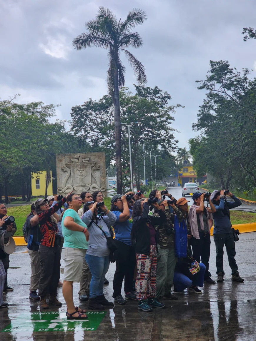 Donde los cielos cantan: El Festival de las Aves en Cozumel