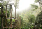Xilitla: un viaje al surrealismo entre montañas y niebla