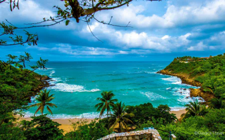 Del 1 al 30 de noviembre, disfruta de cultura, música, deporte y tradición en la costa oaxaqueña.