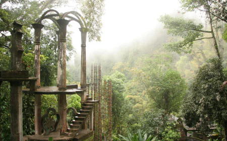 Xilitla: un viaje al surrealismo entre montañas y niebla