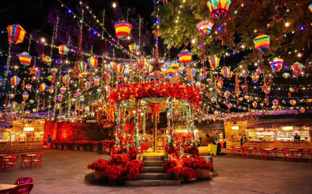 Navidalia: la experiencia inmersiva que estabas esperando.