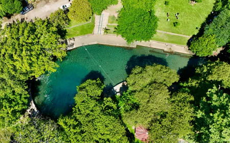 Ruta de la Chinantla y Zuzul: un viaje al corazón verde de Oaxaca.
