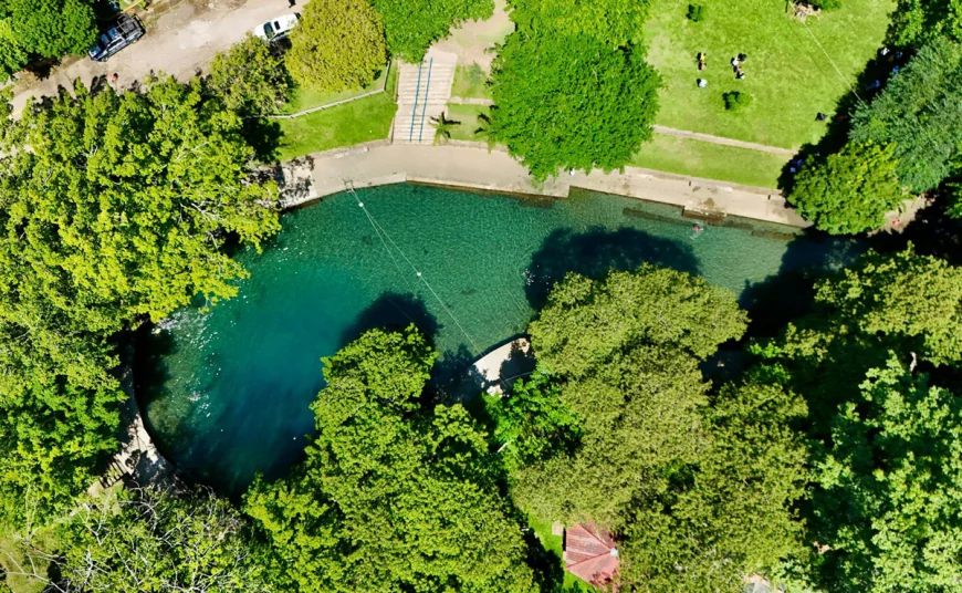 Ruta de la Chinantla y Zuzul: un viaje al corazón verde de Oaxaca.