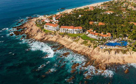 ¿Por qué elegir San José del Cabo + Punta Mita para fin de año?