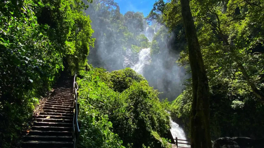 Cascadas de Tulimán, Zacatlán: la segunda caída más grande de México que sí se siente.
