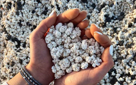 Playa Mora o de Palomitas de maíz, ¡No es broma!